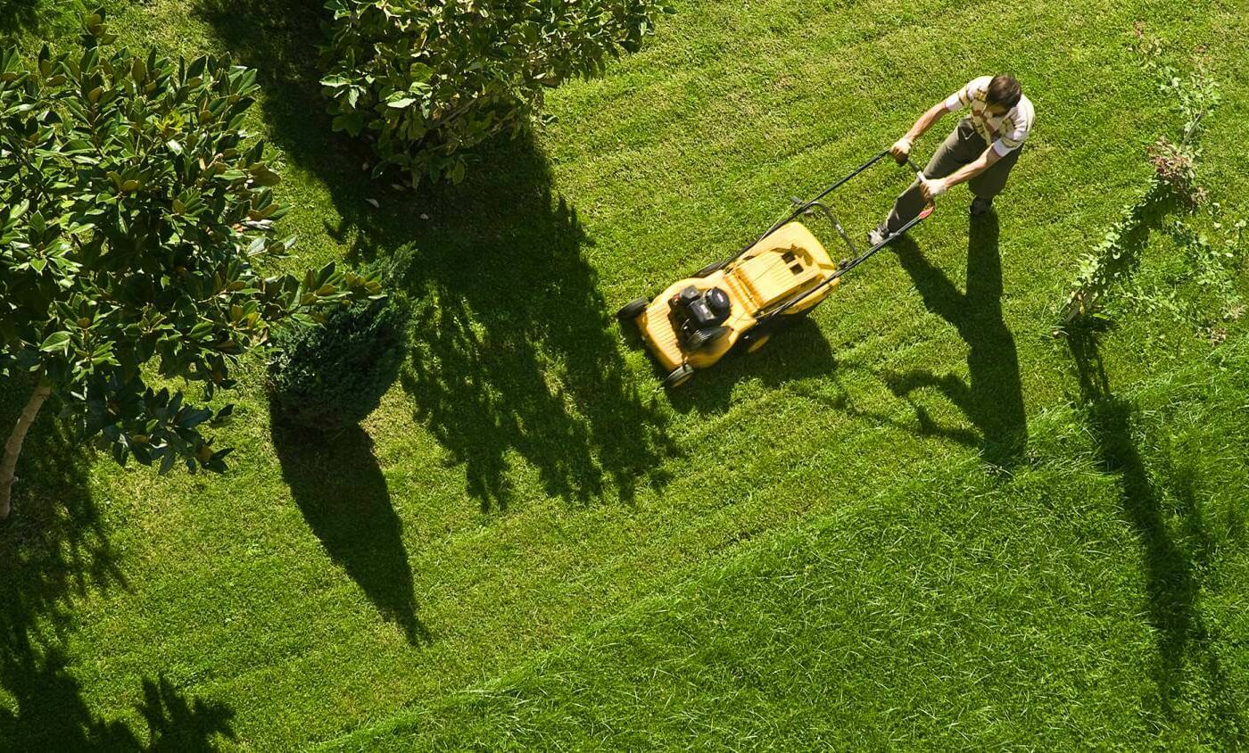 Transmission lawn online mower